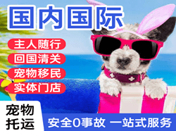 南通兴东航空货运国际宠物托运 【国